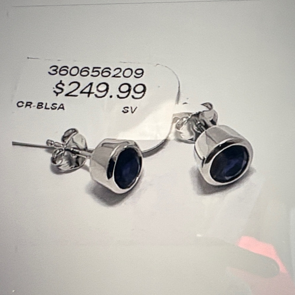 Silver and Blue Stud Earrings